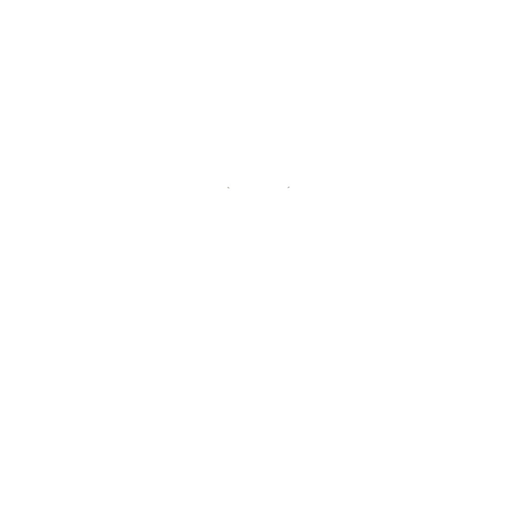 MM